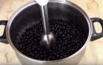 Schwarze Johannisbeere für den Winter ohne Kochen - die besten Rezepte für Rohlinge Leckeres Johannisbeergelee