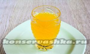 Recepty na výrobu pomarančového džúsu Tekvicovo-jablkový džús na zimu