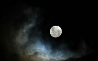 Mengapa bulan bermimpi - ratu malam?