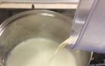 Wie man Haferflocken mit Milch kocht