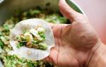 Vynikajúce chouxové pečivo na knedle a knedle: kulinársky recept Ako uvariť knedle z choux cesta